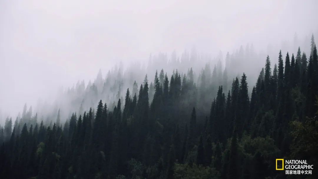 有一种异域风情的美,有一种前所未有的力量充斥着我