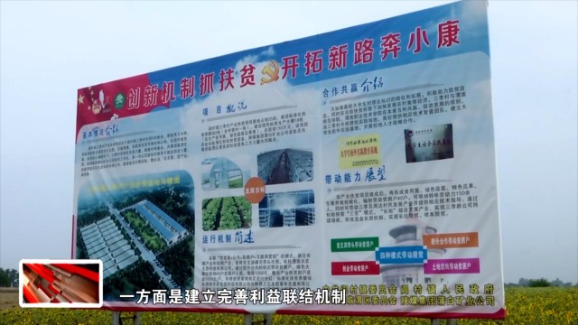 临渭区专项整治,渭南临渭阎村最新消息