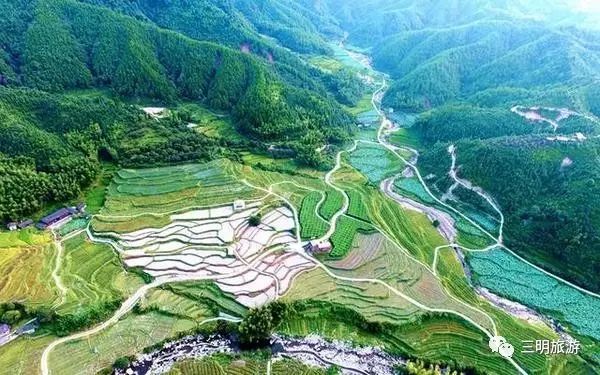 在三明夏天去哪玩,三明荷花最佳观赏地