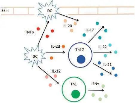 银屑病不是基因问题可以治愈吗,银屑病属不属于牛皮癣