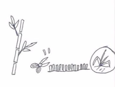 邕小环讲生态故事｜竹子的馈赠：土种树，木养土。竹子的功劳，你知不知道？