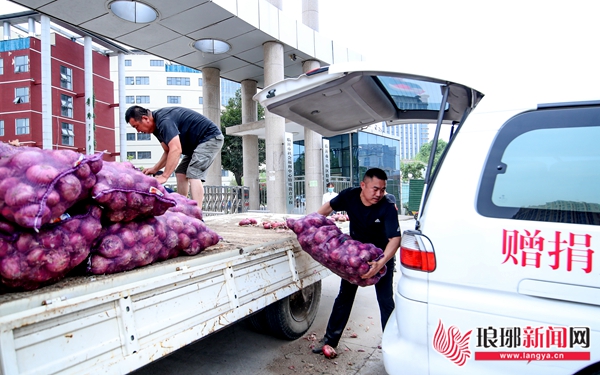 求助洋葱滞销种植户盼客商,洋葱滞销视频