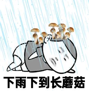 最新大范围冷空气来袭天气预报,天气强冷空气将到货请查收