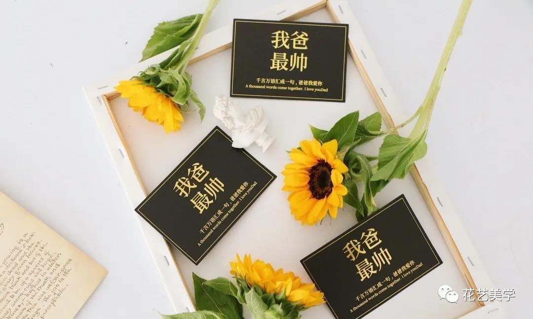 节日丨父亲节，除了向日葵还能送啥花