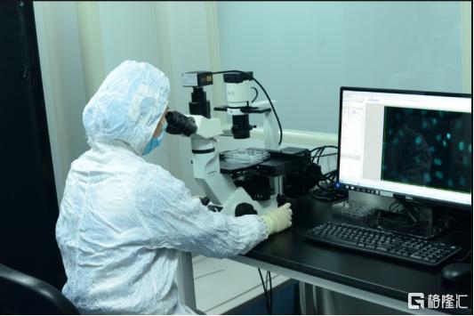 永泰生物基石股,永泰生物深度分析