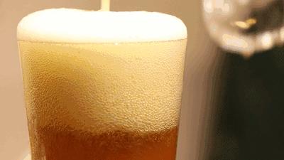 乘风破浪来新疆了吗,乘风破浪来景迈山