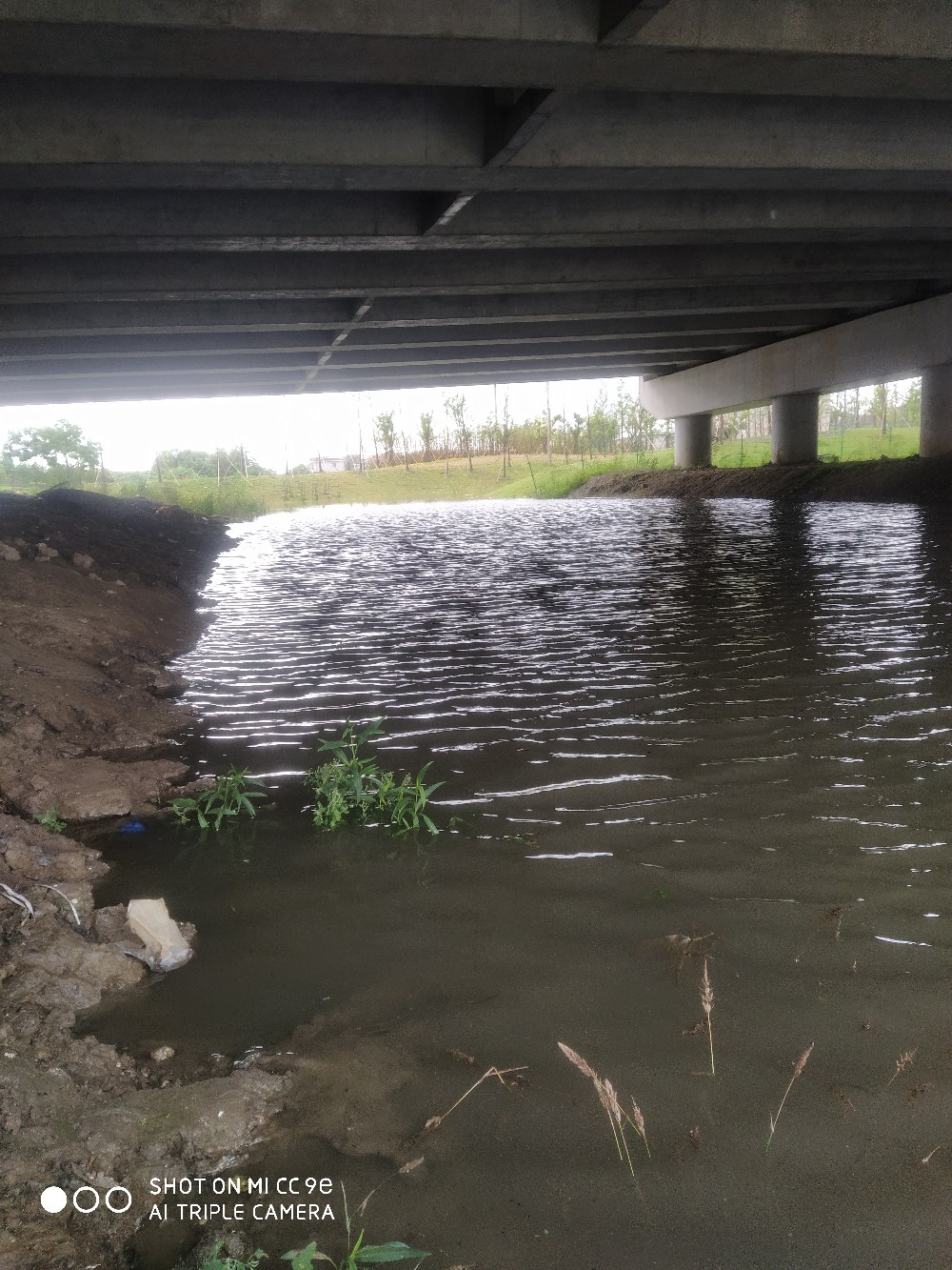 小鱼闹窝最佳处理方法,小鱼闹窝最简单的解决办法