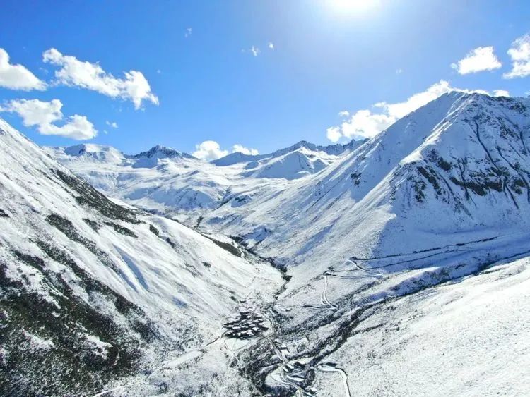他们不是山神，却是虫草山上的守护神！