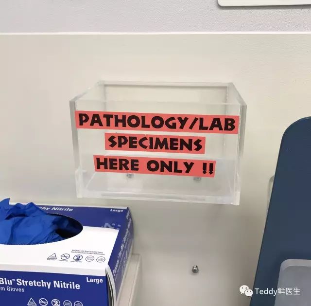 梅奥诊所经历,梅奥诊所真实照片