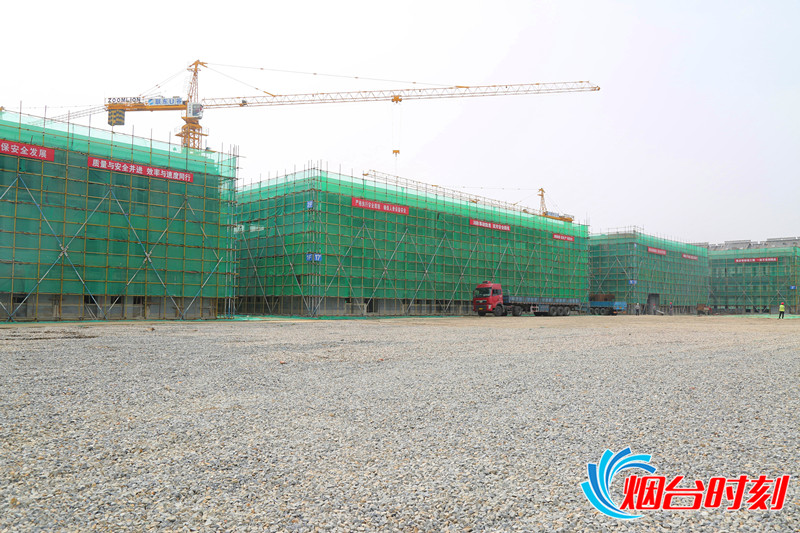 跟着领导参观考察,跟着领导会见政府领导到厂区参观