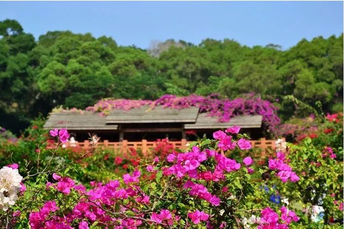 爬厦门仙灵棋山看日出,厦门周边登高望远的地方