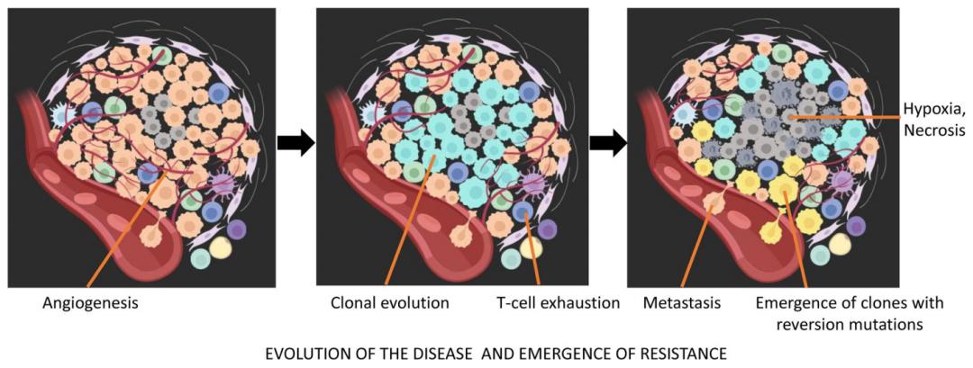 七成卵巢癌3年内复发是真的吗,六成患者确诊时已是中晚期