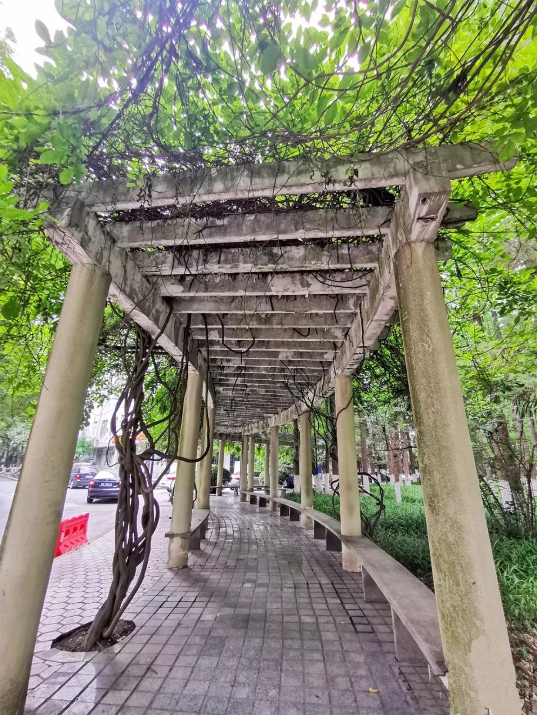 你好这里是成都,校园生活武汉科技大学