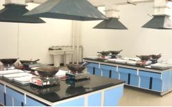 专业介绍中药学河北中医学院,中药学专业招聘