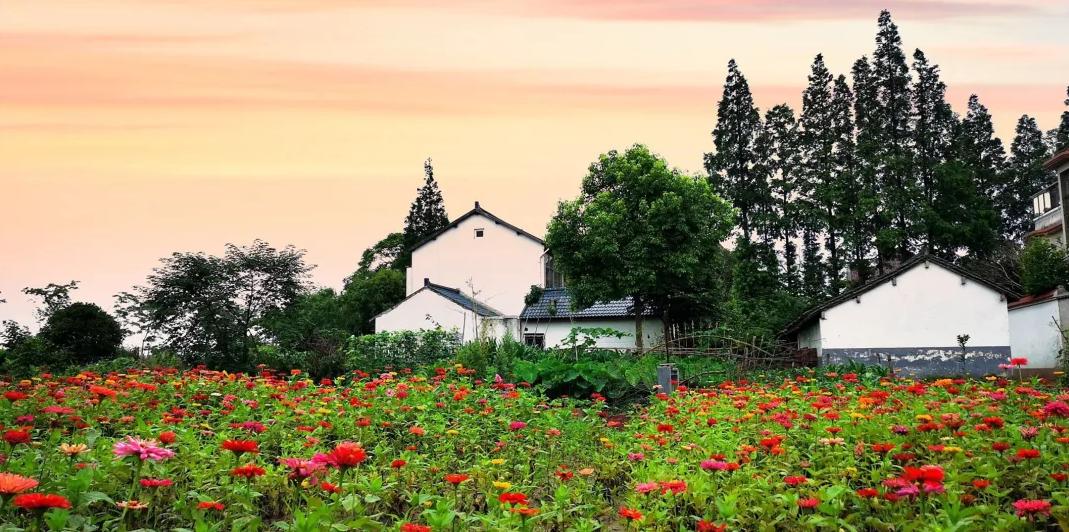 上海乡村振兴产业基地,上海宝山开发定位