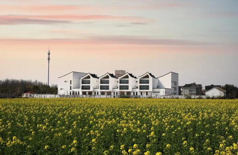 上海乡村振兴产业基地,上海宝山开发定位