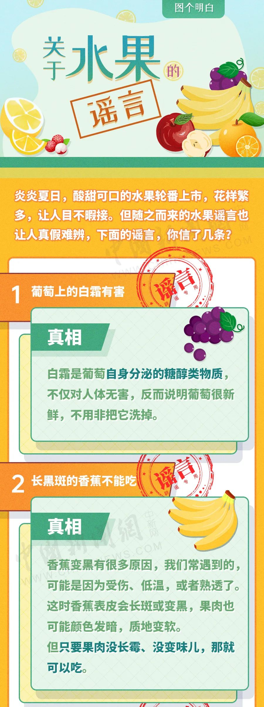 精致人家健康养生,精致人家的生活