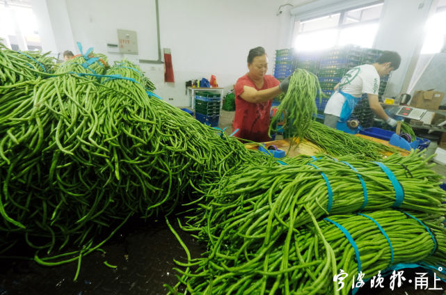 宁波最大菜场地址,宁波最贵菜场