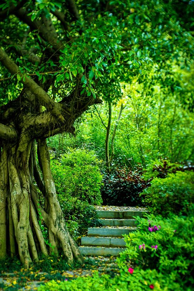 比买一送一还划算，全年不涨价！享山水画里329㎡双卧别墅，玩皮划艇漂流