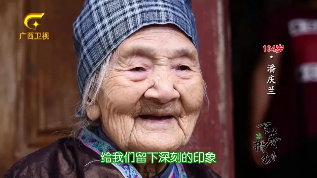 牛胃里的草叫什么,牛胃里的牛草黄