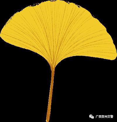 大货车侧翻有多危险,违停避险车道造成货车侧翻