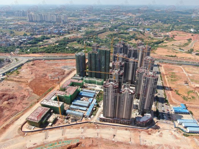 龙岗区三甲医院有哪些,龙岗三甲医院名单一览表