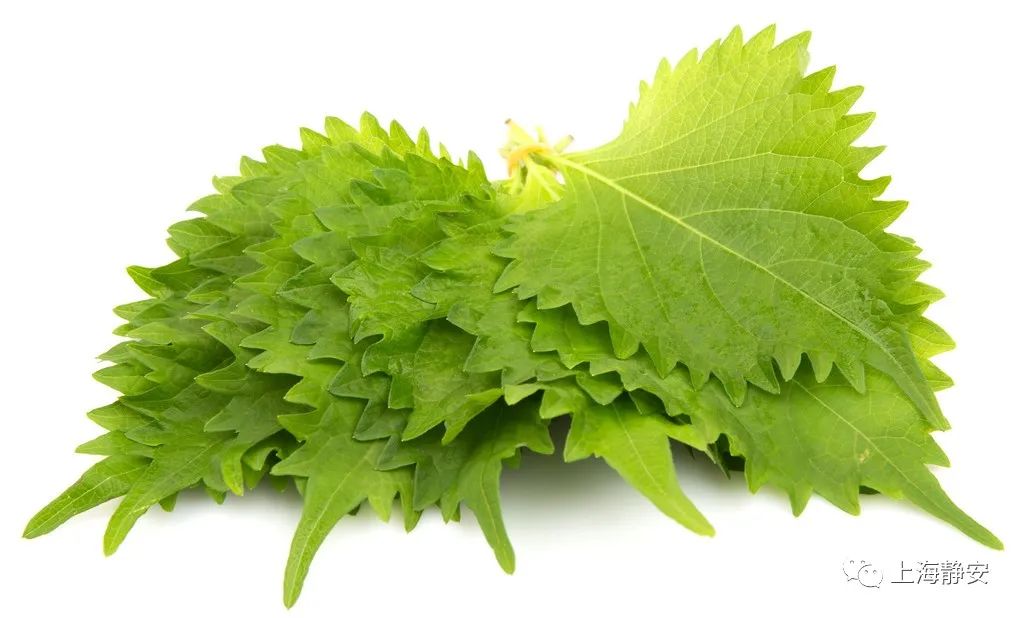 吃鱼蟹易闹肚子?这可能是“中毒”了!中医教你自制茶饮→