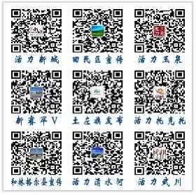 网课教育最好的方法,线上教育与学校网课