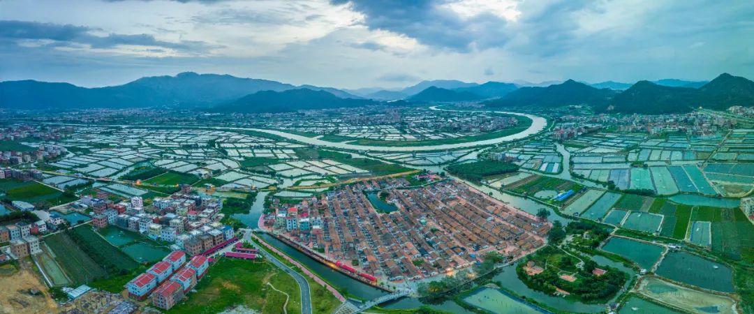 干货两高报告速览,干货一文看懂什么是专精特新