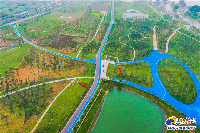 以绿护绿绘画,以绿为笔勾勒生态宜居新画卷