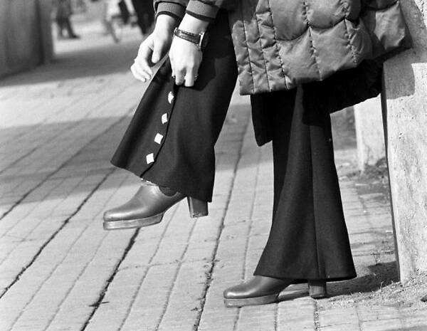 黄桷兰成都,成都黄桷兰多少钱