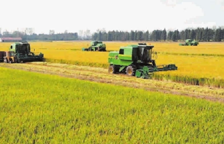 这个因“花博会”而即将腾飞的小镇，你了解吗？