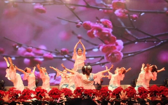 这个因“花博会”而即将腾飞的小镇，你了解吗？