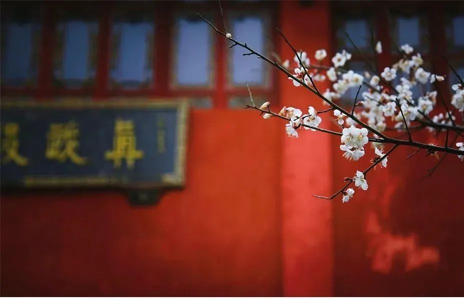 把故宫红、青花蓝捧在手心，以“银杯”畅饮