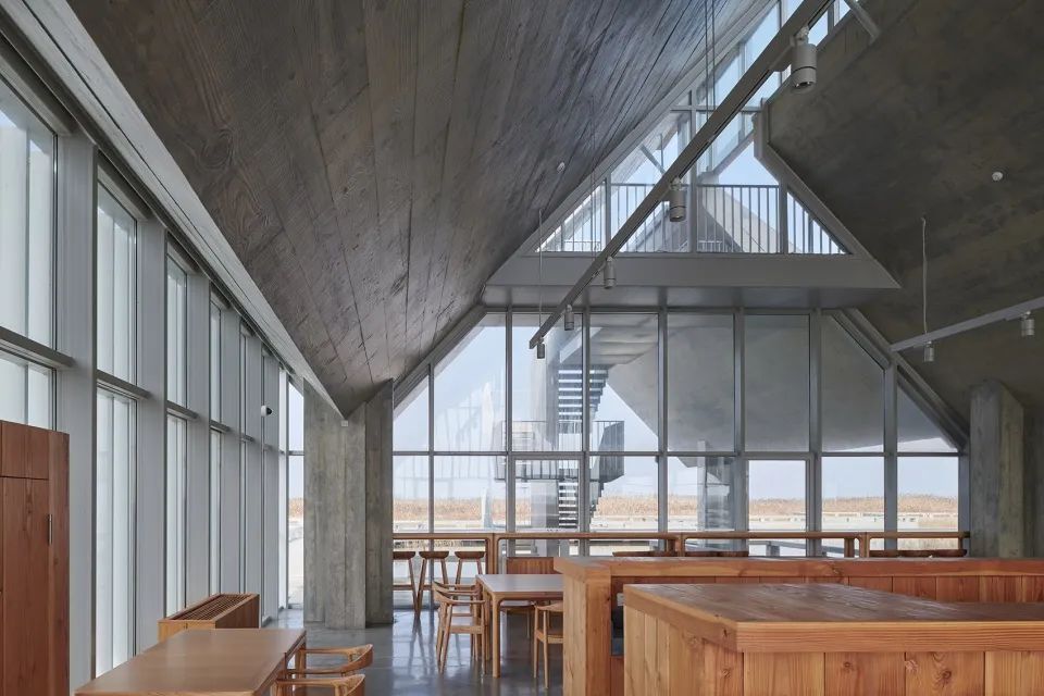 探索崇明东滩湿地公园的奥秘,崇明东滩湿地科研中心