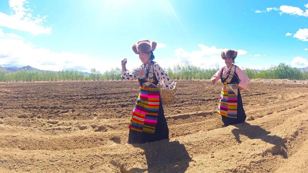 种草自然堂喜马拉雅,以自然之名