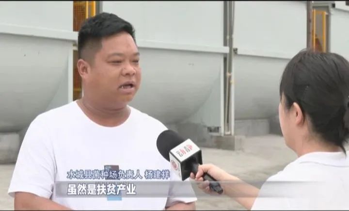 行与不行的感悟,行与不行之间意味着什么