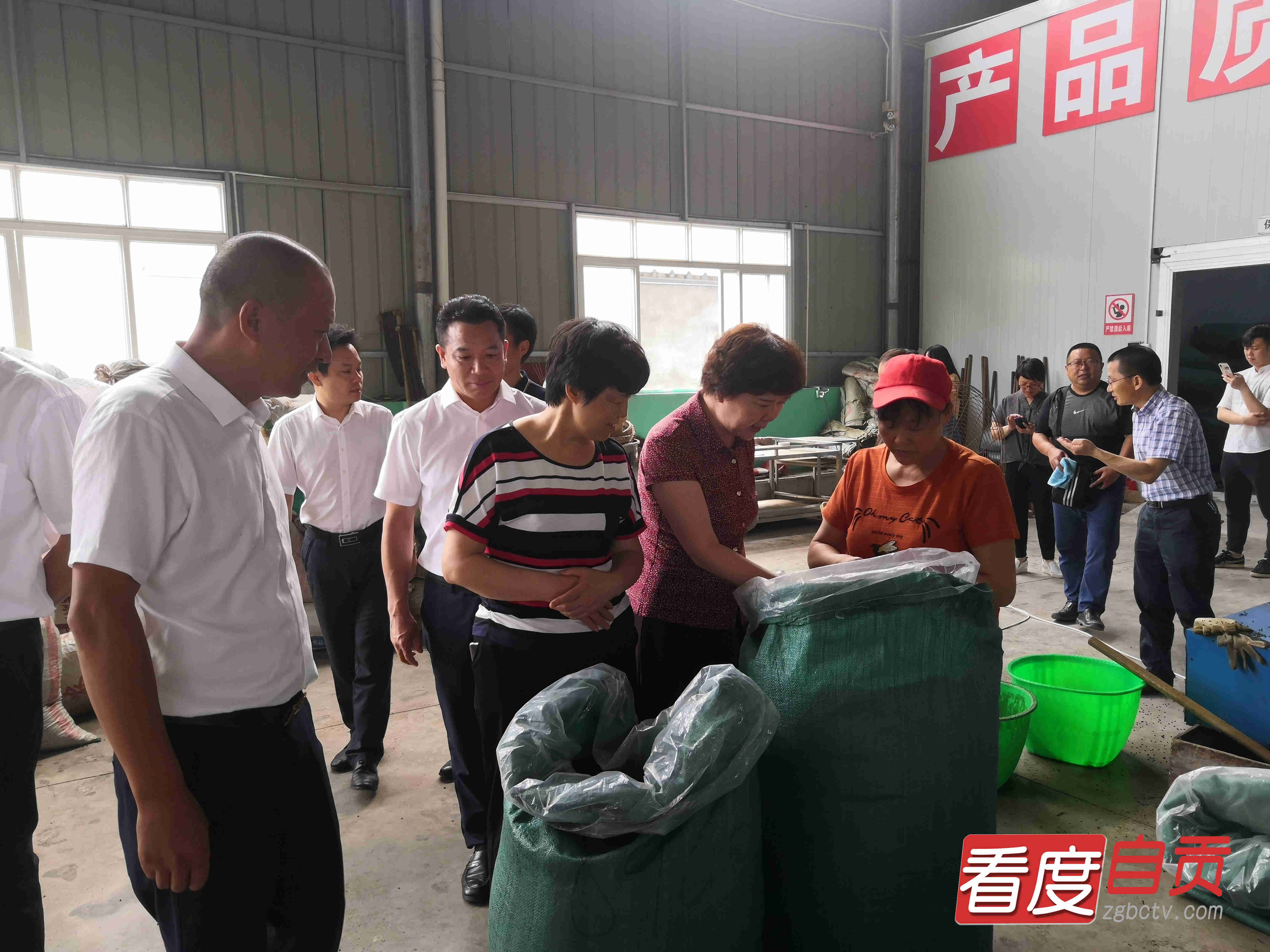 三区协调发展助民增收,三岔镇创新模式助农增收