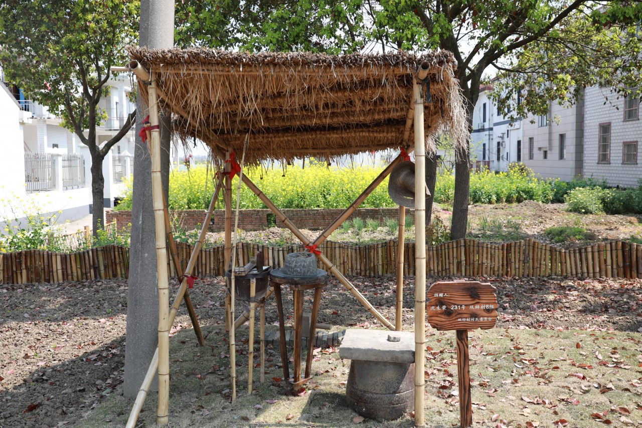走青浦听江南｜“万水千砖”双祥村，百花十人好田园
