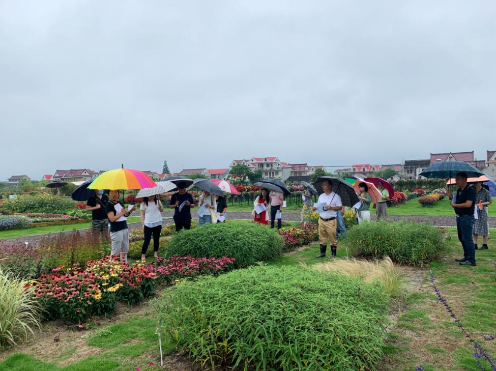 崇明岛比赛直播,上海崇明赛事视频