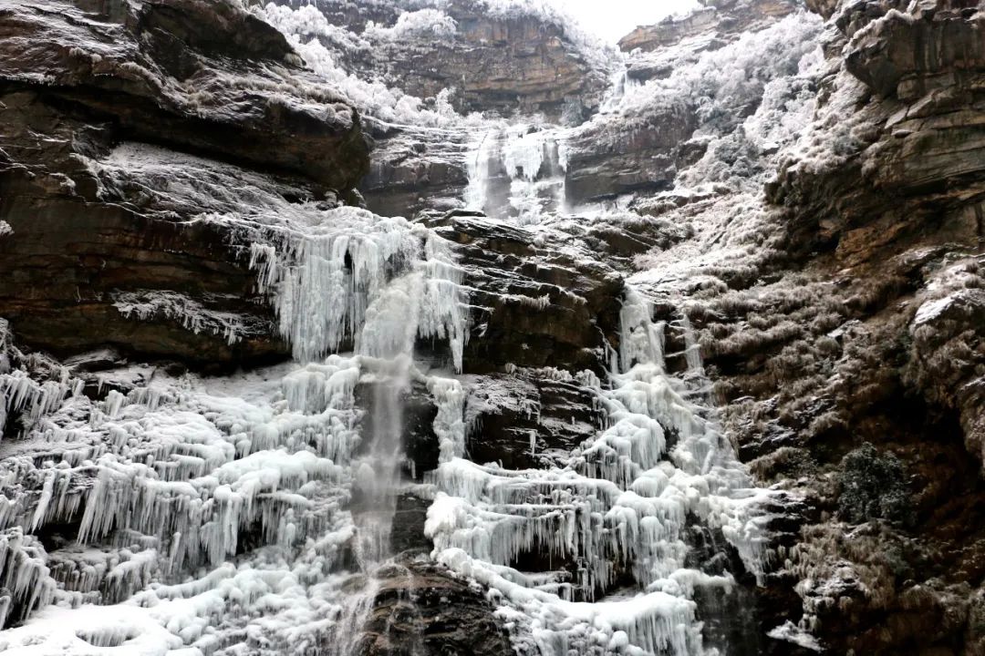 庐山真面目怎么辨别,庐山真面目近义词