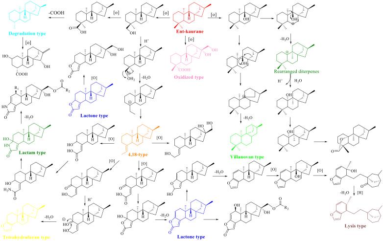 云南咖啡品质如何,云南咖啡味道独特的原因