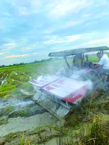 合作社农户发展模式助力乡村振兴,农业合作社合作模式