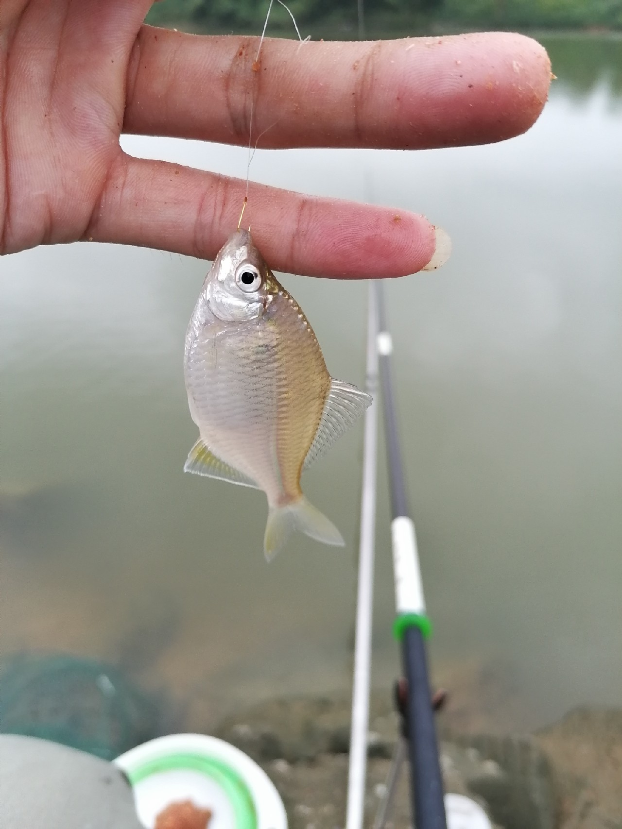 避免小杂鱼闹窝最好的办法,如何避免小杂鱼闹窝