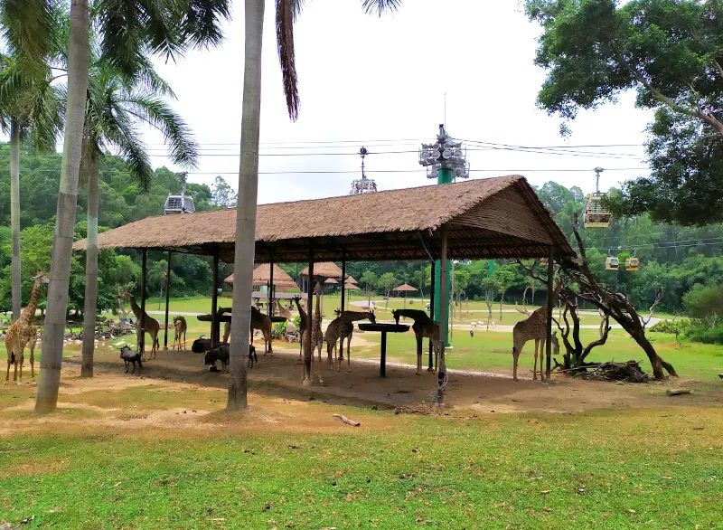 长隆乐园欢乐世界,广州长隆游玩注意事项