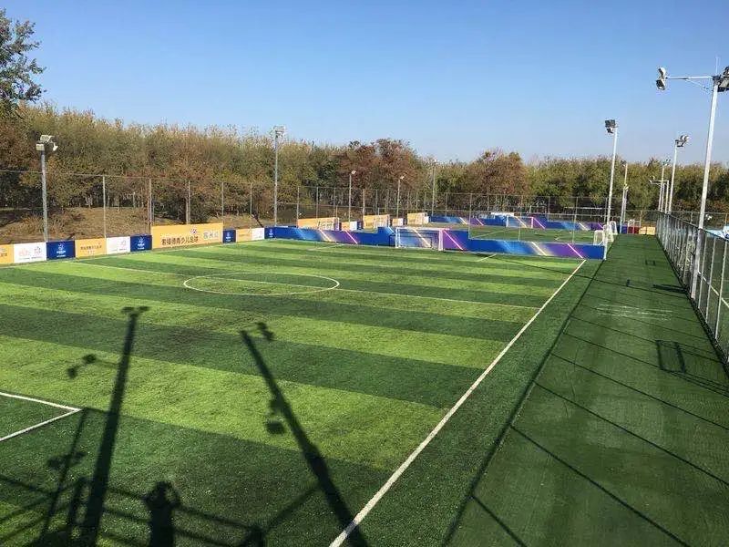 乐享丨约起来！北京400多体育场馆明天免费开放