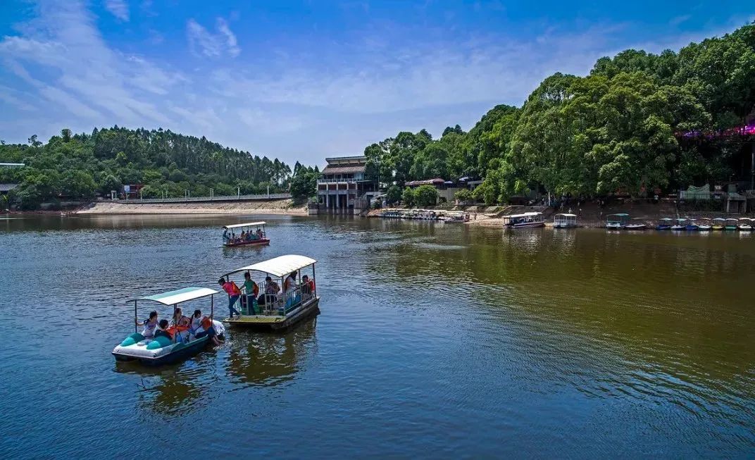 成都景点60岁以上免费门票,成都免费游玩景点推荐