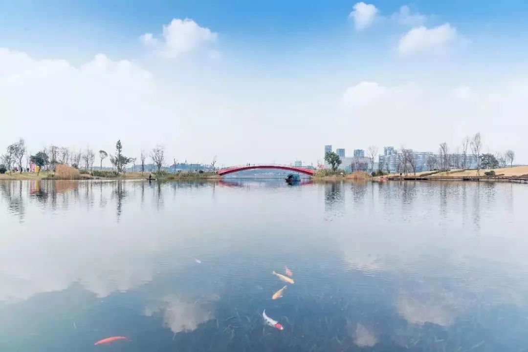 成都免费游玩景点推荐,成都景点免费门票一览表