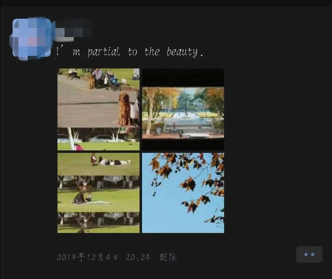 在华师可以学什么,在华东师大读书的体验