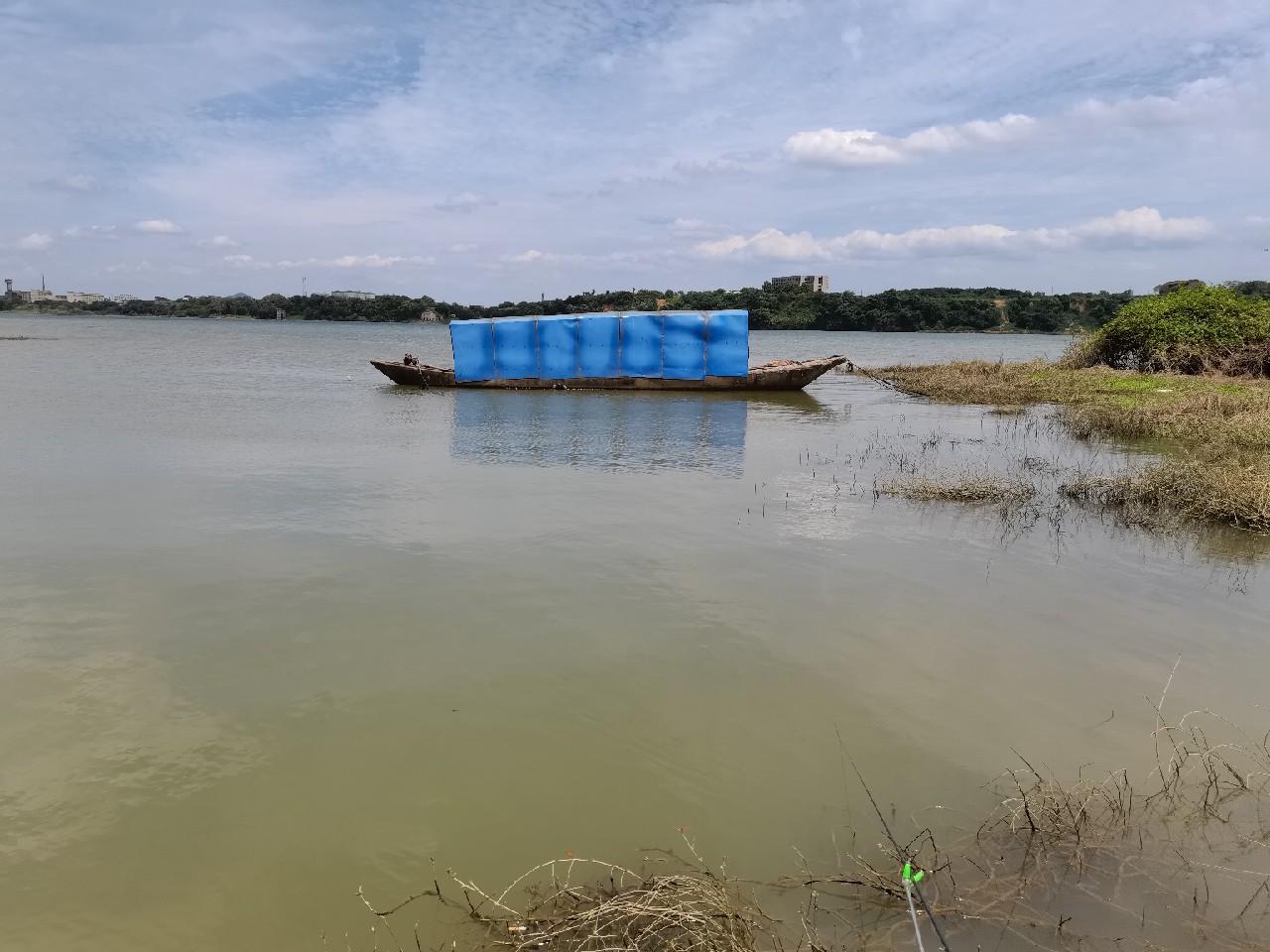野钓白条全过程,拉白条用什么钓鱼